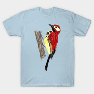 Artwork of a Crimson-Mantled Woodpecker I T-Shirt